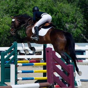 Meet your Posher, Arielle